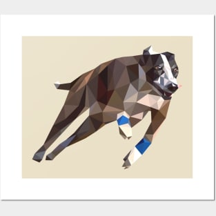 Speedy Greyhound Posters and Art